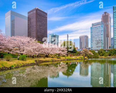 5. April 2019: Tokio, Japan - See- und Kirschblüte in den Kyu-Shiba-rikyu-Gärten, einem traditionellen Landschaftsgarten im Zentrum Tokios. Stockfoto