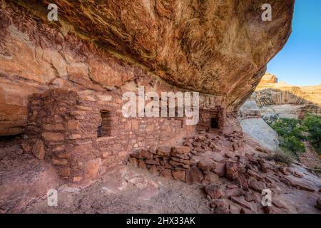 Die Horse Collar Ruin ist eine 1000 Jahre alte Ancestral Puebloan Cliff Wohnung im Natural Bridges National Monument, Utah. Stockfoto