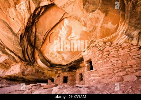 Die gefallene Decke oder das gefallene Dach ruinieren die Klippenanlage im Road Canyon Wilderness Study Area auf Cedar Mesa in Utah. Es ist eine 1000-jährige Ancestra Stockfoto