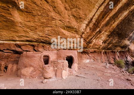 Die Horse Collar Ruin ist eine 1000 Jahre alte Ancestral Puebloan Cliff Wohnung im Natural Bridges National Monument, Utah. Stockfoto