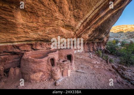 Die Horse Collar Ruin ist eine 1000 Jahre alte Ancestral Puebloan Cliff Wohnung im Natural Bridges National Monument, Utah. Stockfoto