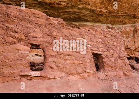 Die Horse Collar Ruin ist eine 1000 Jahre alte Ancestral Puebloan Cliff Wohnung im Natural Bridges National Monument, Utah. Stockfoto