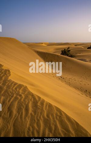 Blick auf Sand und Dünen in Maspalomas, Gran Canaria, Kanarische Inseln, Spanien, Europa Stockfoto