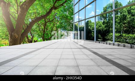 Leerer quadratischer Boden und grüner Baum mit Glaswand Stockfoto