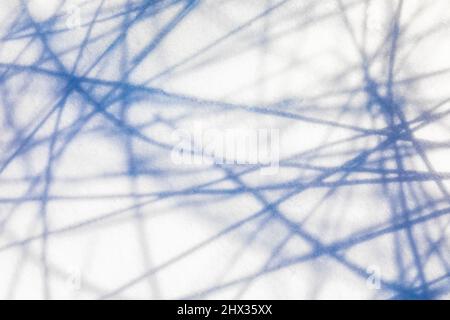 Rushes, Juncus sp., wirft anmutige Schatten auf Hall Lake, Ott Biological Preserve, Calhoun County, Michigan, USA Stockfoto