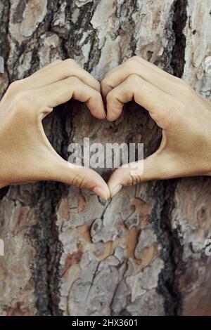 Ich bin ein Herz für Bäume. Nahaufnahme der Hände, die eine Herzform gegen einen Baum bilden. Stockfoto