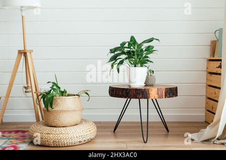 Moderne Einrichtung mit Pflanzen auf Holztisch. Gemütliche Einrichtung im Boho-Stil. Echtes Foto Stockfoto
