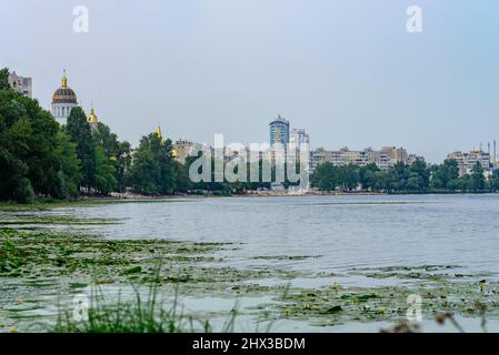 Dnepr in Kiew, mit Lilien bedeckt. Stockfoto