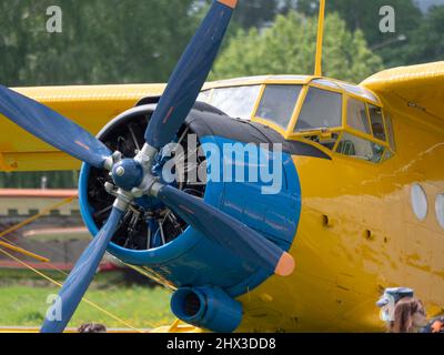 REGION MOSKAU, FLUGPLATZ CHERNOE 22. Mai 2021: Flugzeug an-2 das Luftfahrtfestival Sky, Theorie und Praxis. Stockfoto