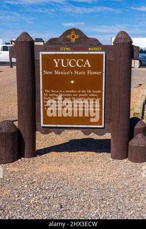 Offizielle historische Markierung für die New Mexico State Flower Yucca Stockfoto