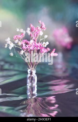 Ein winziger Strauß getrockneter rosa und weißer Blüten mit mehreren Reflexen. Stockfoto
