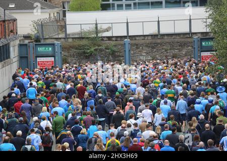 Alle irischen Fußball-Finale Fieber in Dublin, als Fans für das große Spiel, Interviews und Spaß zu sammeln. Stockfoto