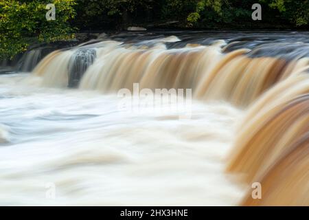 Aysgarth Upper Falls am Fluss Ure in Wensleydale, Yorkshire Dales National Park Stockfoto