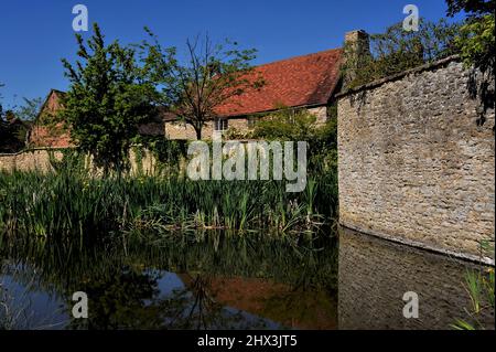 Reflexionen im Dorfteich von Appleton, Oxfordshire, England, UK, über alte Mauern, Ein ehemaliges Bauernhaus aus dem 18.. Jahrhundert und Feuchtgebiete wie gelbe Wassereisen und Binsen. Stockfoto