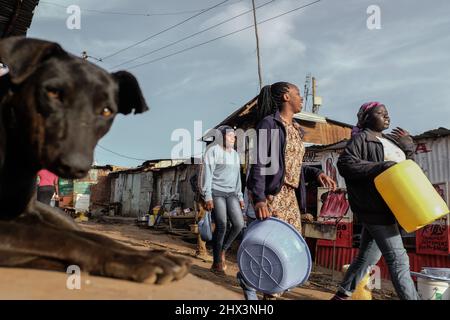 Junge Mädchen auf dem Weg zum Wasserholen laufen in den Slums von Kibera in Nairobi an einem streunenden Hund vorbei. Stockfoto