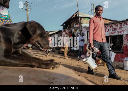 Ein Elektronikhändler geht in den Slums von Kibera an einem schlafenden streunenden Hund vorbei. Stockfoto