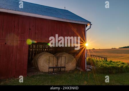 Red Barn at Sunset mit eingelagerten Round Hay Bails innen und Wheat Field im Hintergrund Stockfoto