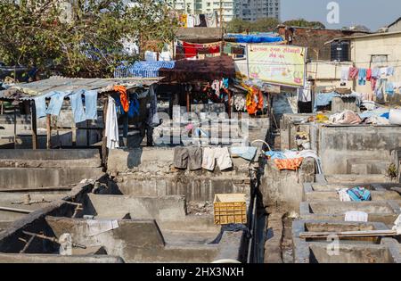 Blick auf Reihen von Betonwaschstiften im Mahalaxmi Dhobi Ghat, einem großen Open-Air-Waschsalon in Mumbai, Indien Stockfoto