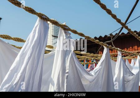 In Mahalaxmi Dhobi Ghat, einem großen Open-Air-Waschsalon in Mumbai, Indien, wurden saubere, frisch gewaschene weiße Laken zum Trocknen aufgehängt und an Wäscheleinen getrocknet Stockfoto