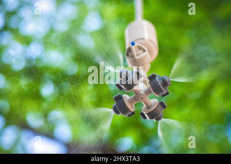 Gartenwasser-Sprühdüse mit Spritzwasser verschließen. Bewässerungssystem für den Garten. Stockfoto