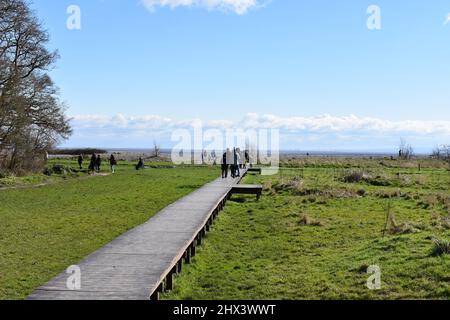 Menschen, die entlang der Holzpromenade zum Strand im Porthkerry Country Park, Barry, Glamorgan, Wales, gehen Stockfoto