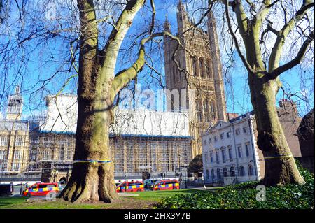 London, Großbritannien. 9. März 2022. Bänder in den Farben der Ukraine-Flagge erscheinen auf Bäumen vor den Häusern des parlaments. Das gelbe Band um einen Baum wurde symbolisch verwendet, damit sich die Menschen daran erinnern können. Kredit: JOHNNY ARMSTEAD/Alamy Live Nachrichten Stockfoto