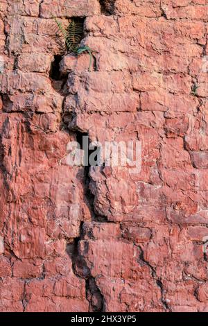 Zerbrochene alte Ziegelmauer aus der Nähe Stockfoto