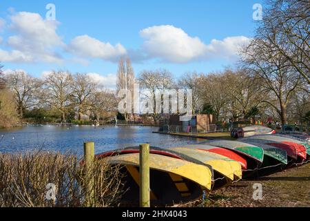 Bootssee im Finsbury Park, North London, Großbritannien, im Frühling Stockfoto