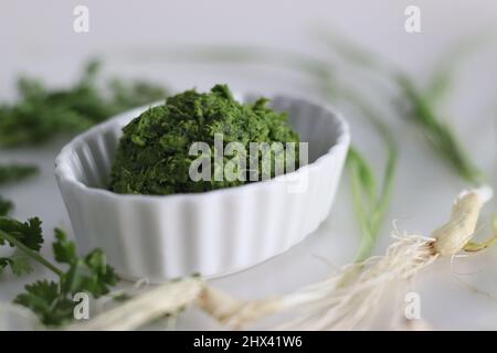 Würzige grüne Knoblauchwürze, zubereitet mit Frühlingsknoblauchzehen, Korianderblättern, grünen Chilis und Kokosöl. Allgemein bekannt als Hara lehsun chutney. Sh Stockfoto