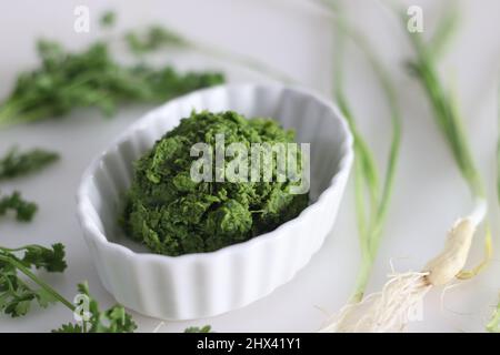 Würzige grüne Knoblauchwürze, zubereitet mit Frühlingsknoblauchzehen, Korianderblättern, grünen Chilis und Kokosöl. Allgemein bekannt als Hara lehsun chutney. Sh Stockfoto