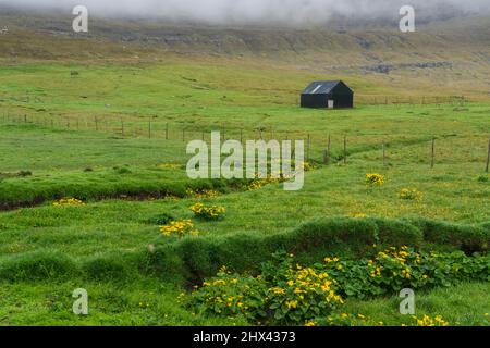 Svinoy, Nordinseln, Färöer, Dänemark. Stockfoto