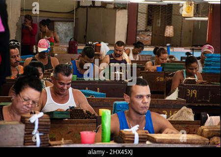 Männer und Frauen, die in einer Fabrik in Trinidad, Kuba, sitzen und von Hand an der Herstellung kubanischer Zigarren arbeiten. Stockfoto