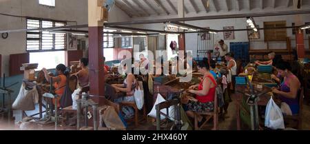 Männer und Frauen, die in einer Fabrik in Trinidad, Kuba, sitzen und von Hand an der Herstellung kubanischer Zigarren arbeiten. Stockfoto