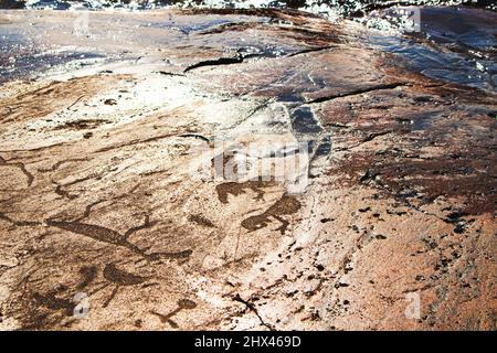 Alte Felszeichnungen am Ufer des Onega-Sees. Geschnitzt auf einer Granitplatte. Kap Besov Nos, Karelien, Russland - 15. August 2021. Stockfoto