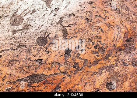 Alte Felszeichnungen am Ufer des Onega-Sees. Geschnitzt auf einer Granitplatte. Kap Besov Nos, Karelien, Russland - 15. August 2021. Stockfoto