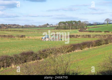 Irvine, Schottland, Großbritannien - 07. März 2022: Wunderschöne schottische Farmlandschaften mit Ackerflächen und einem lokalen Bauern, der sich bereit macht, Gülle oder Silage zu verteilen Stockfoto
