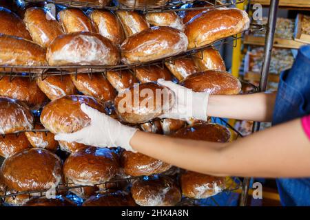 Ein Arbeiter arbeitet in einer Bäckerei. Sie legt Brot auf ein Regal. Frisches knuspriges Brot aus nächster Nähe Stockfoto