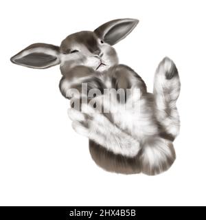 Aquarell realistisches braunes Kaninchen mit weißem Bauch. Illustration eines Hasen. Schlafender Hase auf dem Rücken Stockfoto