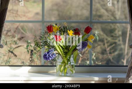 Eine Vase mit Frühlingsblumen auf einer Fensterbank. Blaue Hyazinthen, rote Tulpen und gelbe Narzissen füllen das Glas. Stockfoto