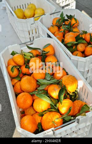 Nahaufnahme, aus einem hohen Winkel von frischen reifen Orangen, die in einer Plastikkiste in San Francisco, Kalifornien, USA, gestapelt sind Stockfoto