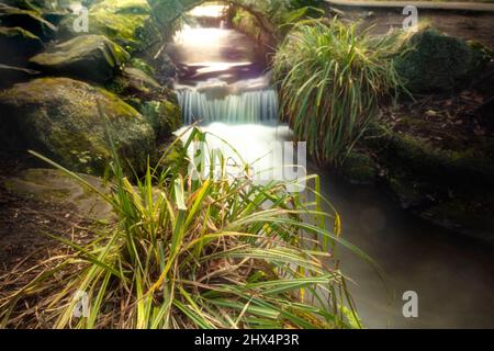 Intime Landschaft des Flusses Wandle im Beddington Park, Greater London, England Stockfoto