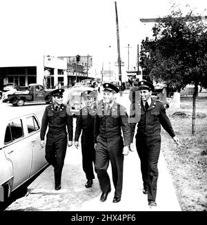 Vierbeiner Dienen In Derselben Armeeeinheit ***** . 23. November 1951. (Foto: United States Information Service). Stockfoto