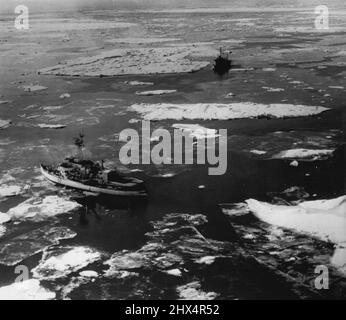 Ice Breakers Pioneer 'Northwest Passage' -- zwei Eisbrecher, die Burton Island der US Navy, Vordergrund, und der kanadische Labrador, treffen sich Mitte August in der McClure Strait im kanadischen Nordwesten, um die lange gesuchte Nordwestpassage zu vervollständigen. Schwere Eisschollen in diesem Gebiet hatten zuvor den direktesten Wasserdurchlass über das Dach der Welt blockiert. Das Verteidigungsministerium hat das Bild heute in Washington veröffentlicht. 28. September 1954. (Foto von U.S. Navy Photo). Stockfoto