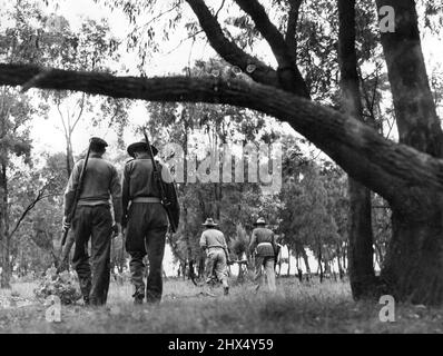 Italienische Kriegsgefangene in Australien. 05. April 1946. Stockfoto