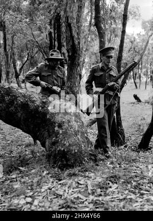 Bewaffnet mit Pistolen und Gewehren durchsuchten Armeemänner heute den Bezirk Dandenong nach Luigi Melampo, einem italienischen Kriegsgefangenen, der bei der Meuterei am Samstagabend aus dem Lager Rowville entkommen war. In dieser Störung wurde ein anderer P.O.W. tödlich geschossen, während er versuchte zu entkommen. 05. April 1946. Stockfoto