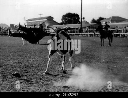 Das ist nicht so gut, aber wie würde es Ihnen trotzdem gehen? 27. November 1950. Stockfoto