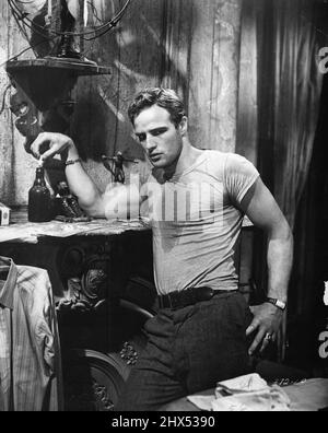 Marlon Brando kreiert auf der Leinwand seinen großen Triumph als Kowlaski, der Blanches (Vivian Leigh) neurotisches selbst in Tennessee Williams Pulitzer-Preisträger „A Streetcar named Desire“ schikanierte und riss. Ein Streetcar namens Desire/Marlon Brando porträtiert Stanley Kowalski in der Produktion des Tennessee Williams Stücks von 1951. Mehr von dem gleichen : Greer Garsons Beschreibung von Marlon Brando: 'Er tritt in einen Raum mit all der Unobstruivität einer geführten Rakete'. 29. Oktober 1954. Stockfoto