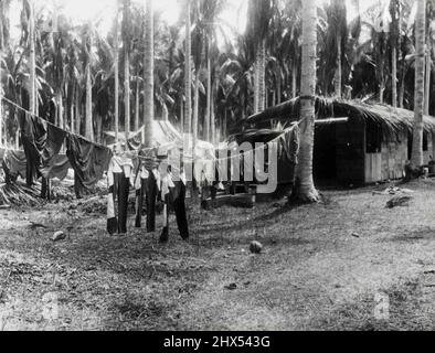 Die US-Marineinfanteristen und die Bomber der Marine bei der Arbeit gegen Japs auf den Solomons-Inseln -- Jap-Hosen an der Wash-Line. Die Besitzer konnten es kaum erwarten, sie anzuziehen. 05. Oktober 1942. Stockfoto