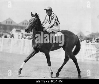 Talking - Bay Horse von Magpie (imp) von Society. Talking, ein zweifacher Derby-Gewinner, gehörte S. Cash, als er 1936 den AJC-Klassiker gewann. Bald darauf von A. E. Cooper gekauft und von A. G. Papworth trainiert, gewann er das Victoria Derby. Talking verdient ca. £11.000; zu seinen Gewinnen gehören die AJC Warwick Stakes, Craven Plate und Rosehill Hill Stakes. S. Cash's Farben: Rote und weiße Streifen, rote Mütze. Jockey J. O'Sulivan. 26. Oktober 1955. Stockfoto