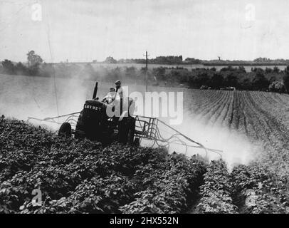 In Der Front Line Von ***** -- Ein Staubsprüher arbeitet heute auf einem Kartoffelfeld auf einer Farm in der Nähe von Rochester, Kent. In der Gegend von Kent wurden kürzlich Käfer gefunden. Es gibt 4 dieser Sprühgeräte in diesem Bereich, und sie verwenden 20 Tonnen DDT pro Woche.viele Tausende von Hektar Kartoffeln ***** Land an der Süd- und Ostküste von ***** Die Szene einer weiteren 'Invasion' Schlacht ***** Waren in den Kriegstagen. Dieses Mal jedoch ***** Ist der colorado-Käfer, der die schlimmste Bedrohung für die britischen Kartoffelkulturen seit zehn Jahren darstellt. Das Sprühen und Suchen nach der Vergangenheit wird in Bereichen intensiviert, in denen die Stockfoto